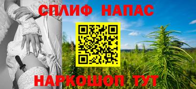 СК Можга