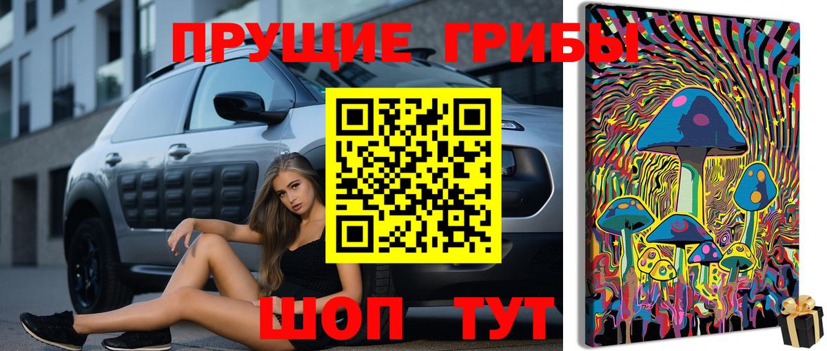 Галлюциногенные грибы GOLDEN TEACHER  Вход с VPN  где найти   Чусовой 